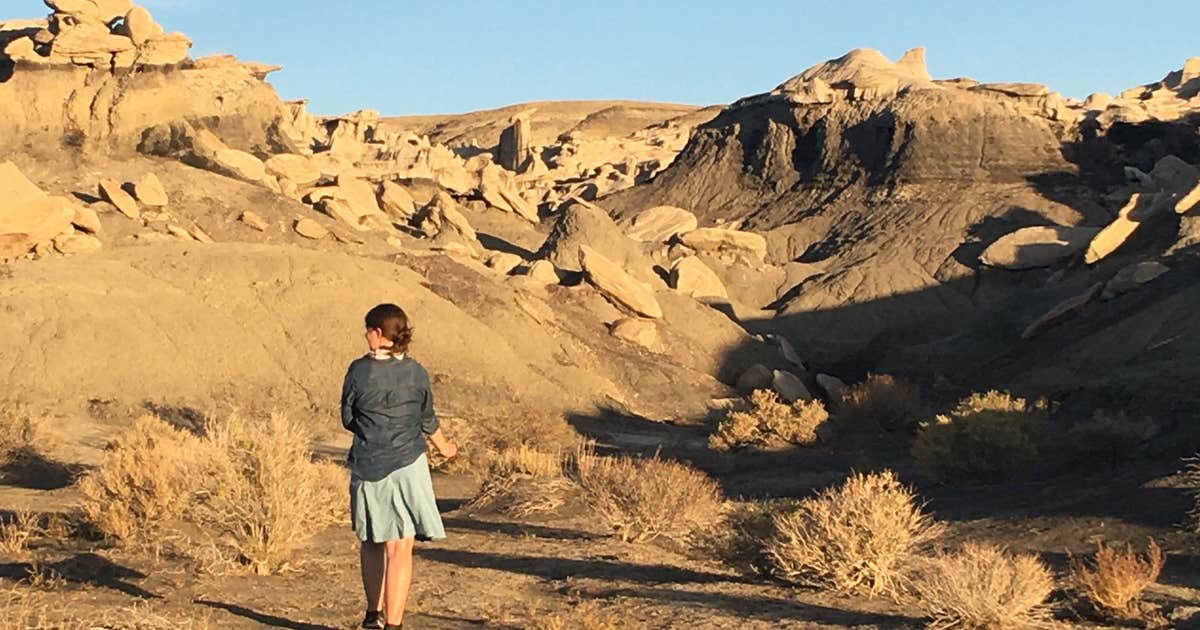 Bisti / De-Na-Zin Wilderness Area