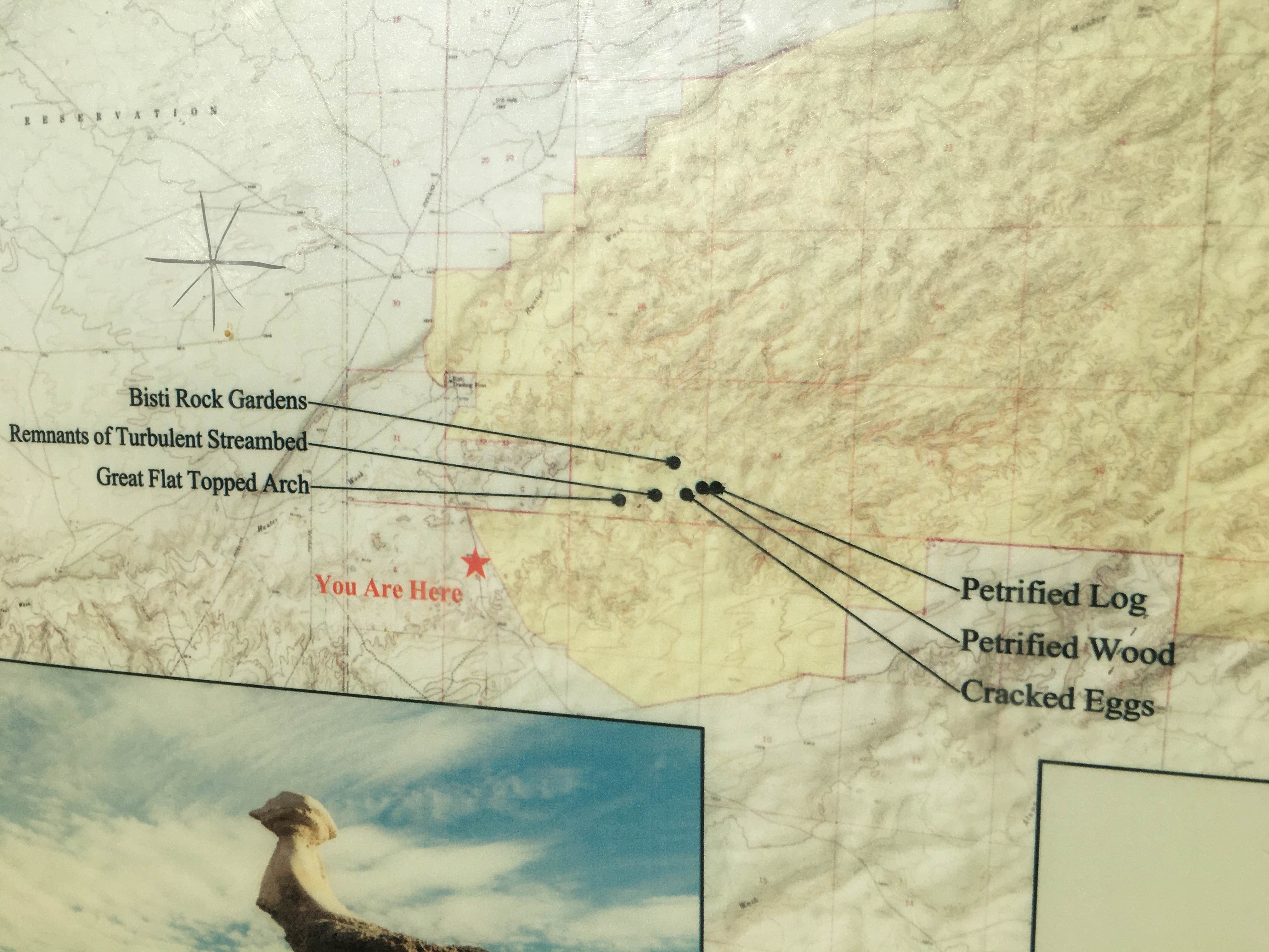 Signs & Maps