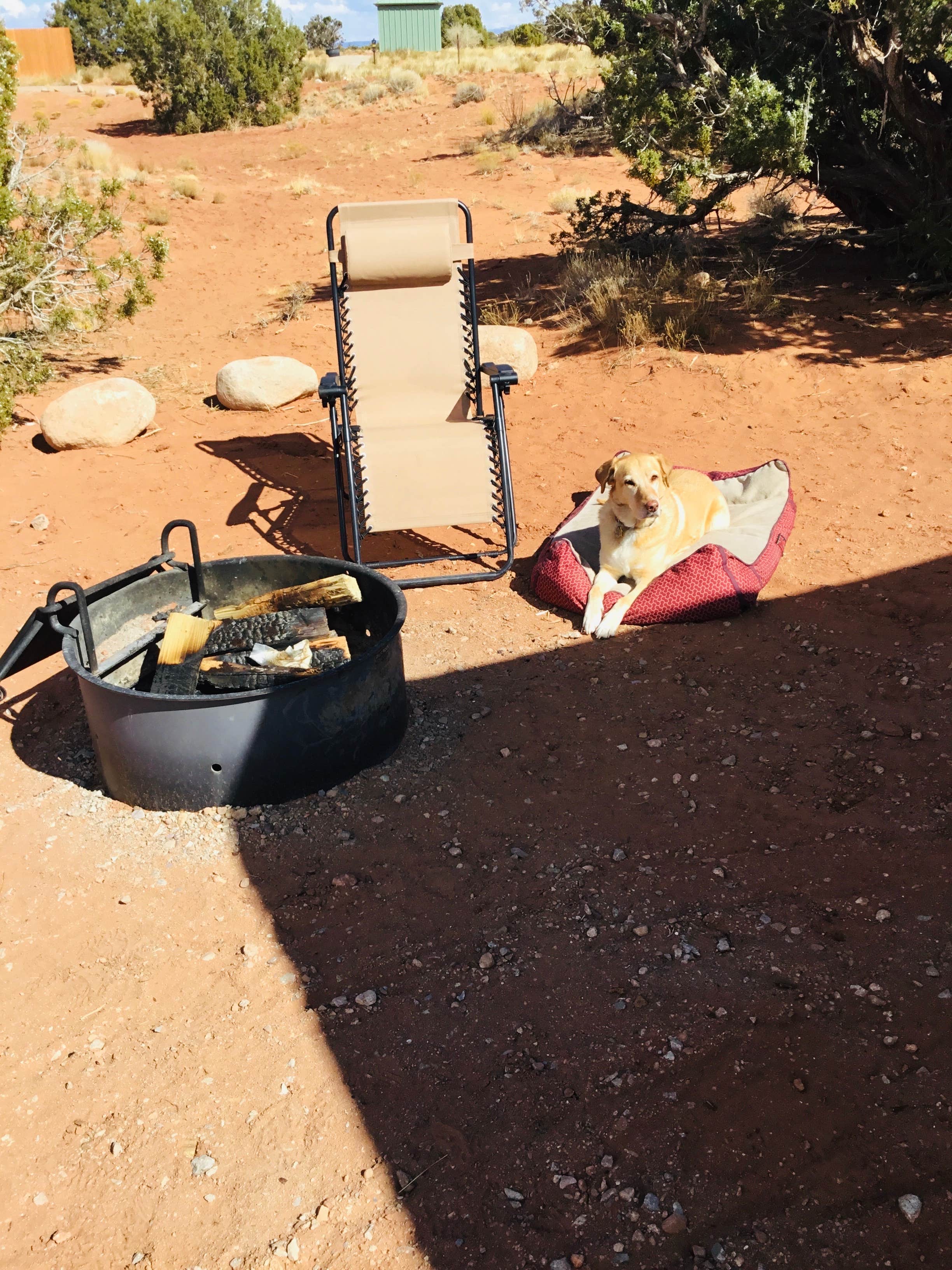 Betzy G.'s photo of camping with pets at Wingate Campground — Dead Horse Point State Park near Canyonlands National Park