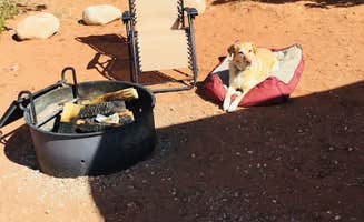 Betzy G.'s photo of camping with pets at Wingate Campground — Dead Horse Point State Park near Canyonlands National Park