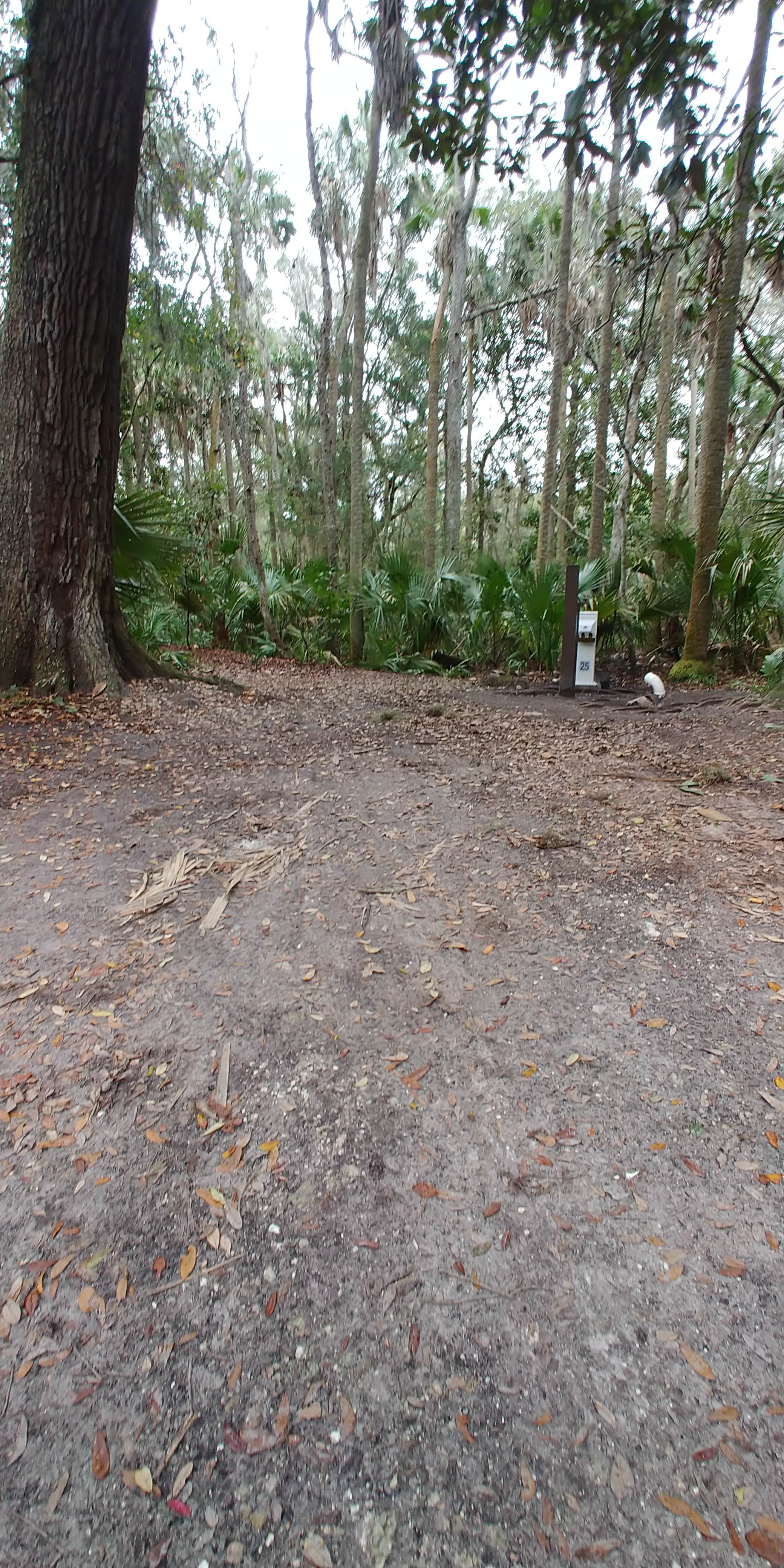 Camper-submitted photo at Kathryn Abbey Hanna Park in Florida