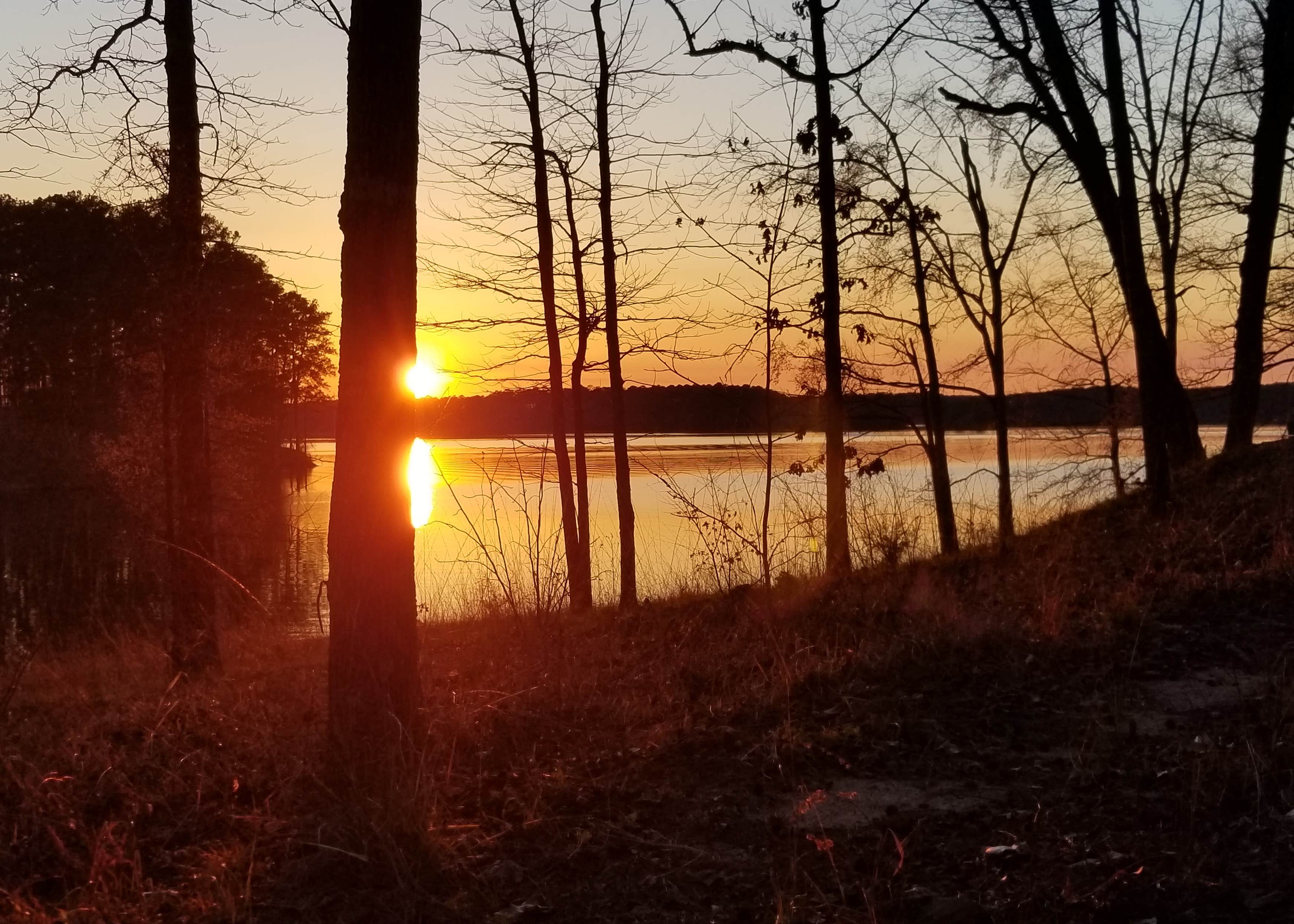 Petersburg J Strom Thurmond Lake Camping The Dyrt