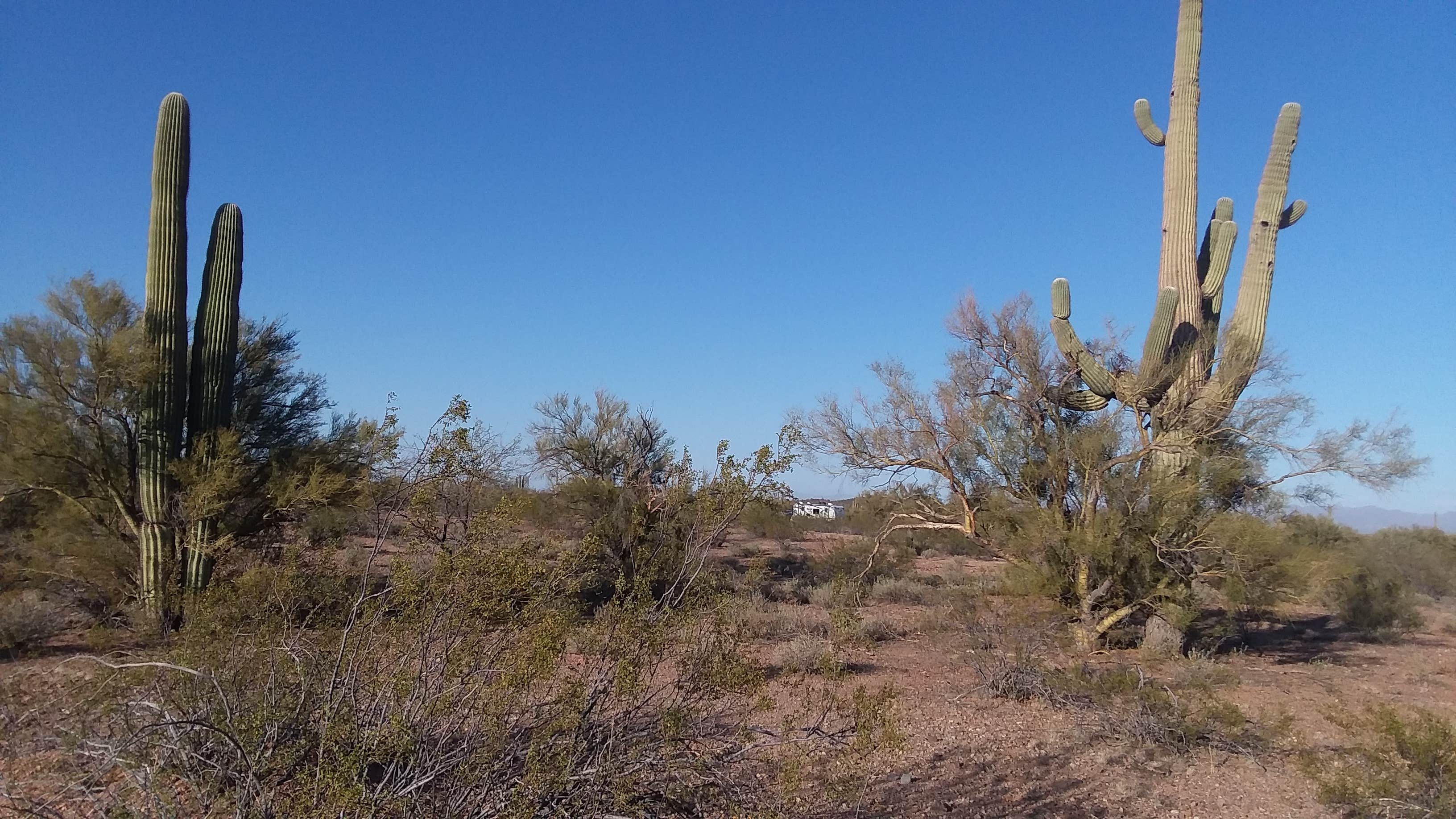 Camping near Cactus Forest Dispersed: BLM Ironwood Forest National Monument - Pipeline Rd Dispersed camping, Picacho, Arizona
