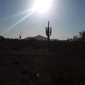 Review photo of BLM Ironwood Forest National Monument - Pipeline Rd Dispersed camping by Kimberly , March 11, 2021