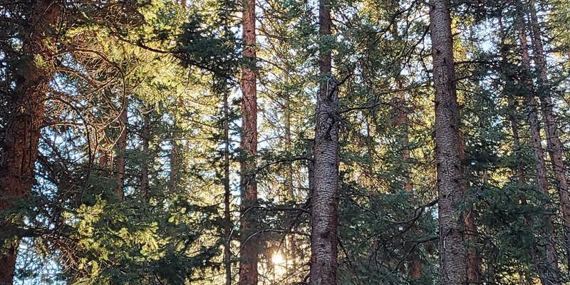 Camper submitted image from Portal Campground