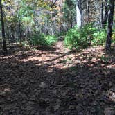 Review photo of Meriwether Lewis Campground by Jeremy A., March 11, 2021