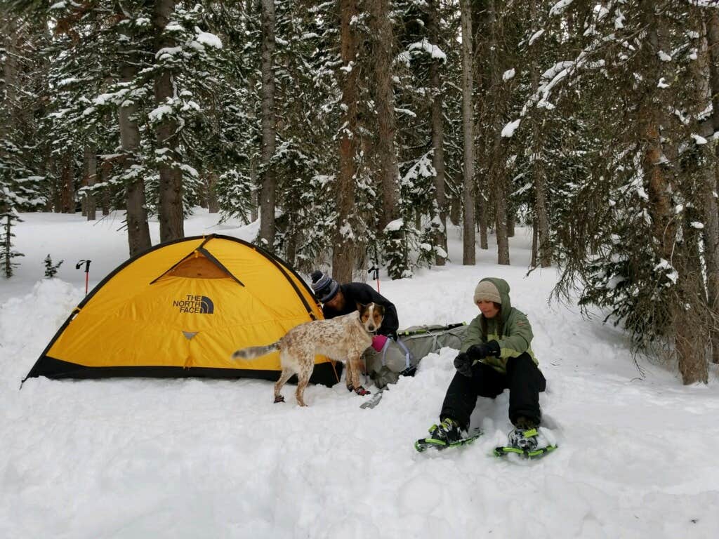 Camper submitted image from Primitive Loop Campground — State Forest State Park - 5