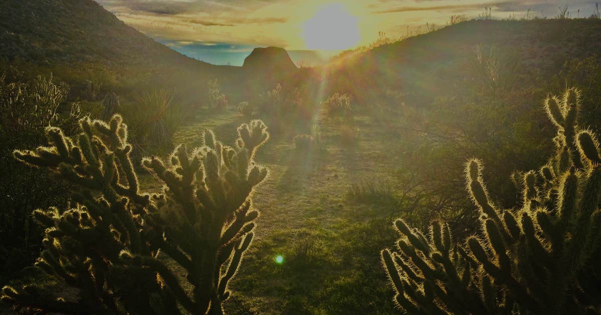 Blair Valley Primitive Campground — Anza-Borrego Desert State Park