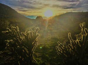 Blair Valley Primitive Campground — Anza-Borrego Desert State Park