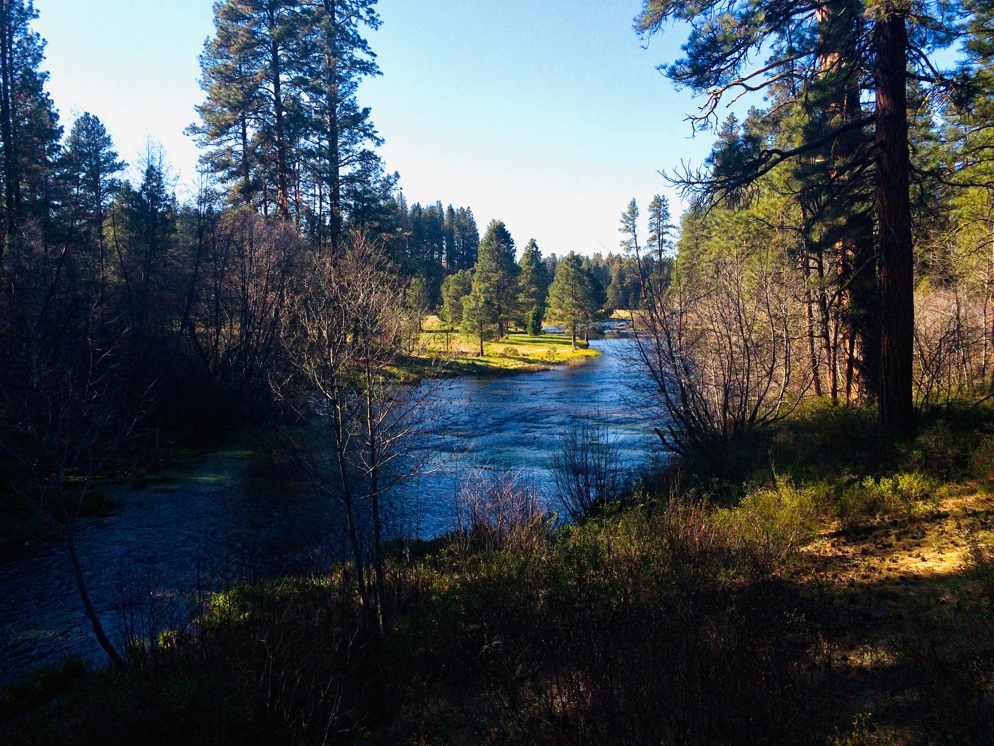 Camp Sherman Campground The Dyrt