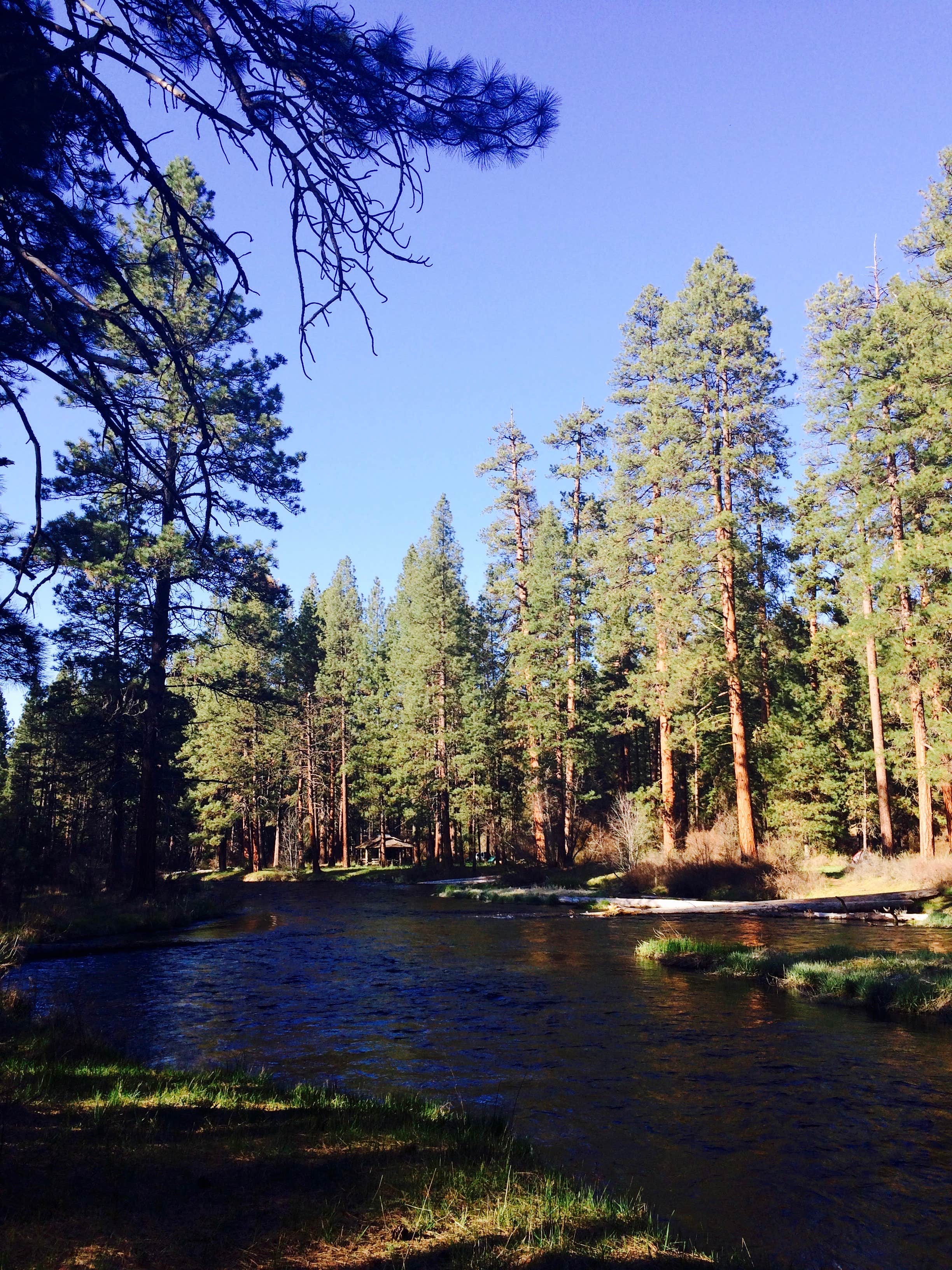 Camp Sherman Campground The Dyrt