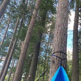 Review photo of Sandy Beach Lake Campground — Northern Highland State Forest by Jeanna Marie C., March 11, 2021