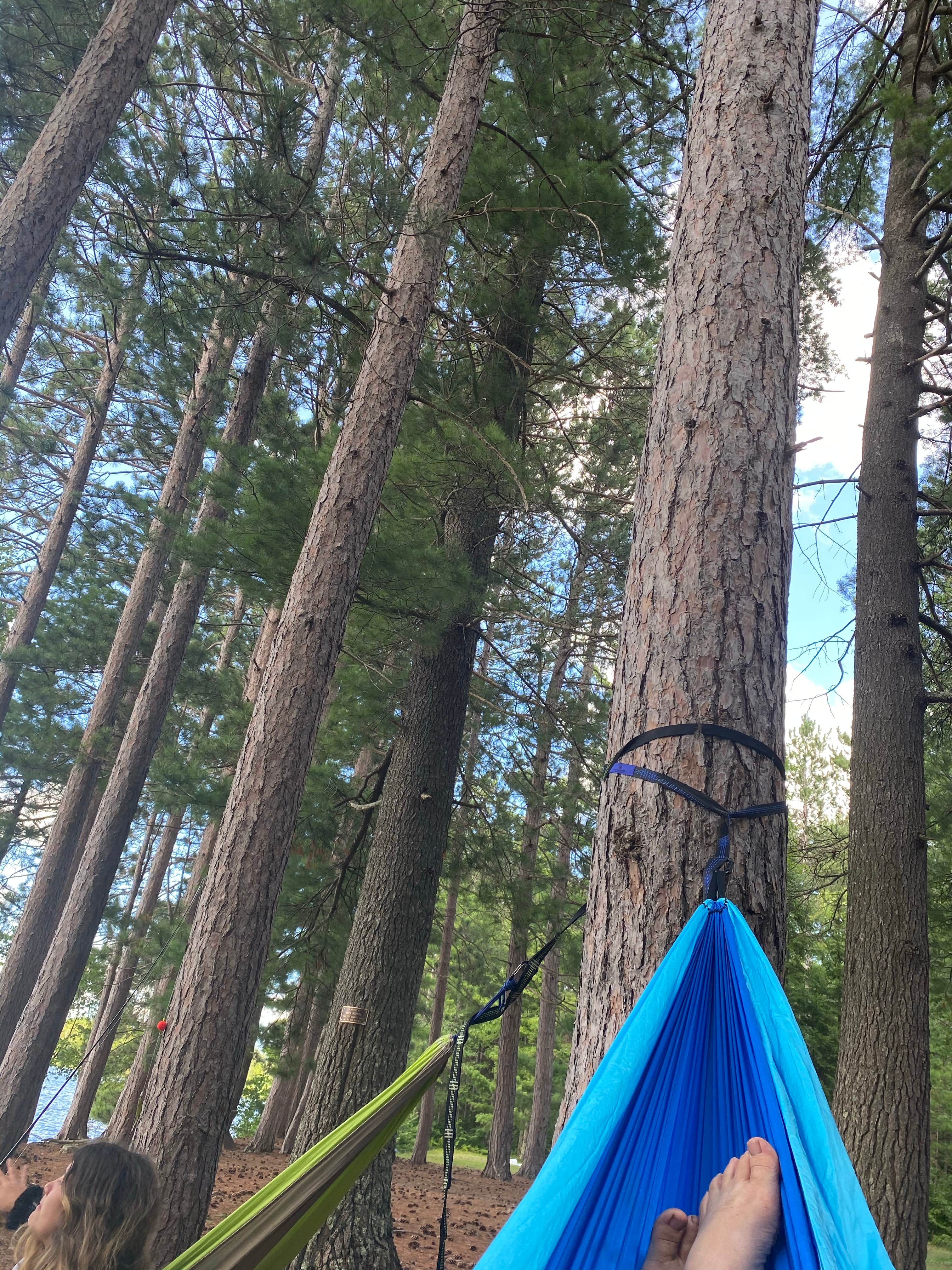 Camper submitted image from Sandy Beach Lake Campground — Northern Highland State Forest - 4