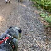 Review photo of Sandy Beach Lake Campground — Northern Highland State Forest by Jeanna Marie C., March 11, 2021