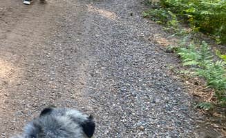 Jeanna Marie C.'s photo of camping with pets at Sandy Beach Lake Campground — Northern Highland State Forest near Mercer, WI