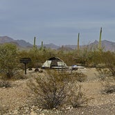 Review photo of Twin Peaks Campground - Organ Pipe Cactus Nat Monument by Randall M., May 30, 2018
