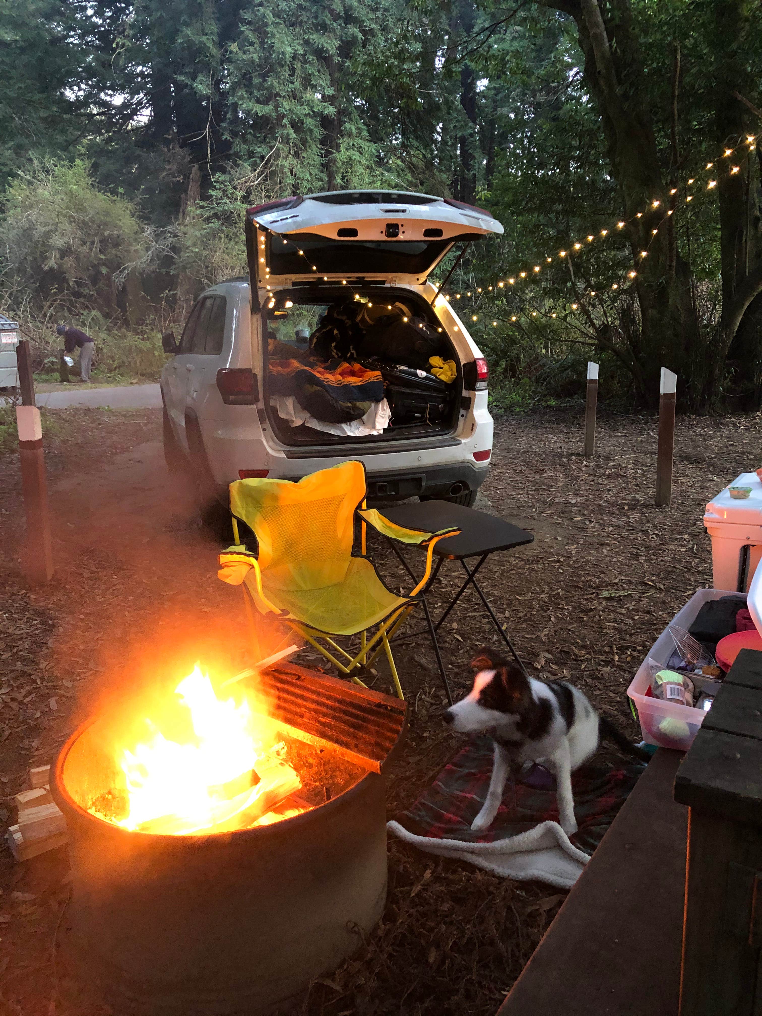 Camper submitted image from Gualala Point Regional Park - 1