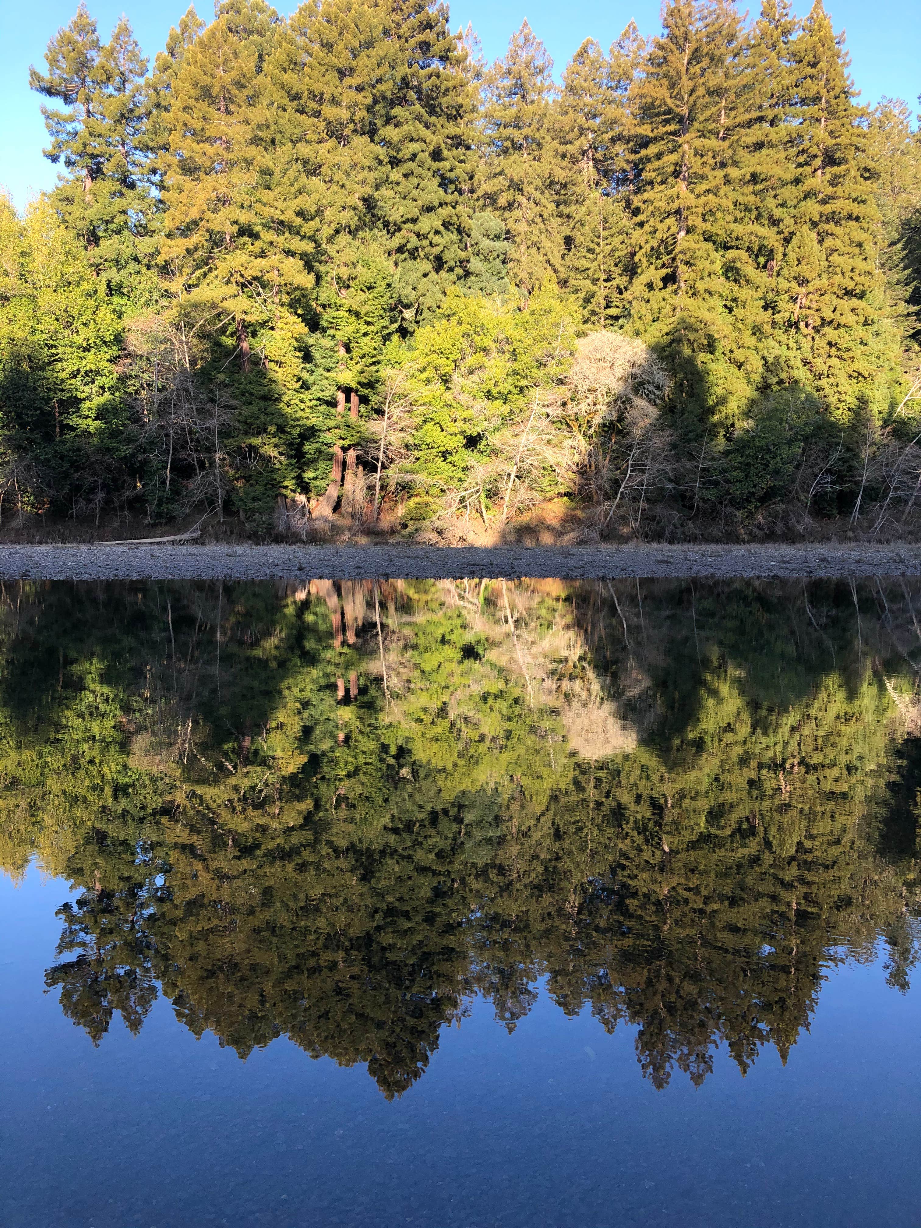 Gualala Point Regional Park | The Dyrt