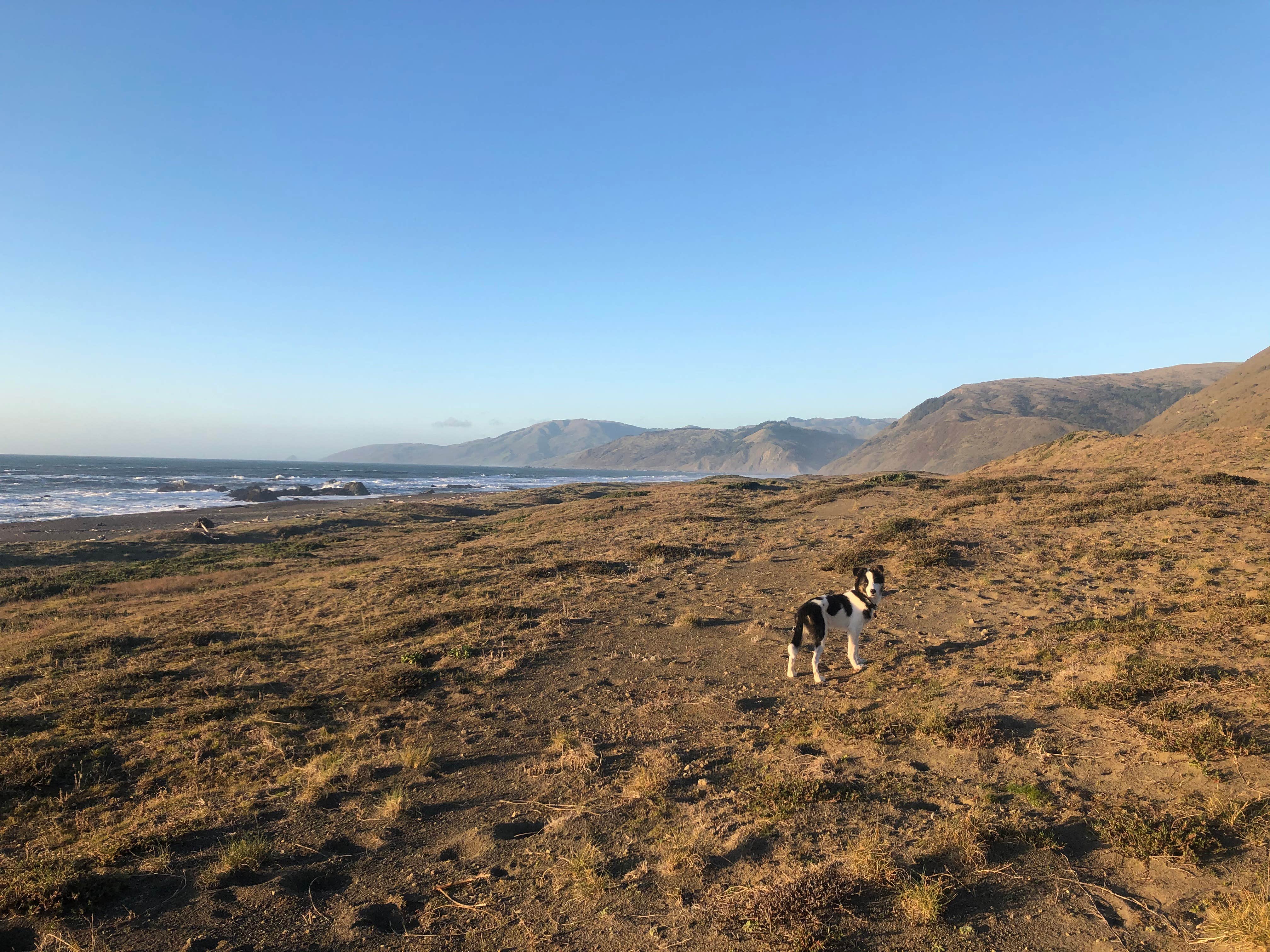 Camper-submitted photo at Mattole Campground near Eureka, CA