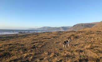 Alixandra S.'s photo of camping with pets at Mattole Campground near Petrolia, CA