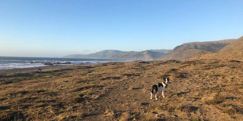 Camper submitted image from Mattole Campground