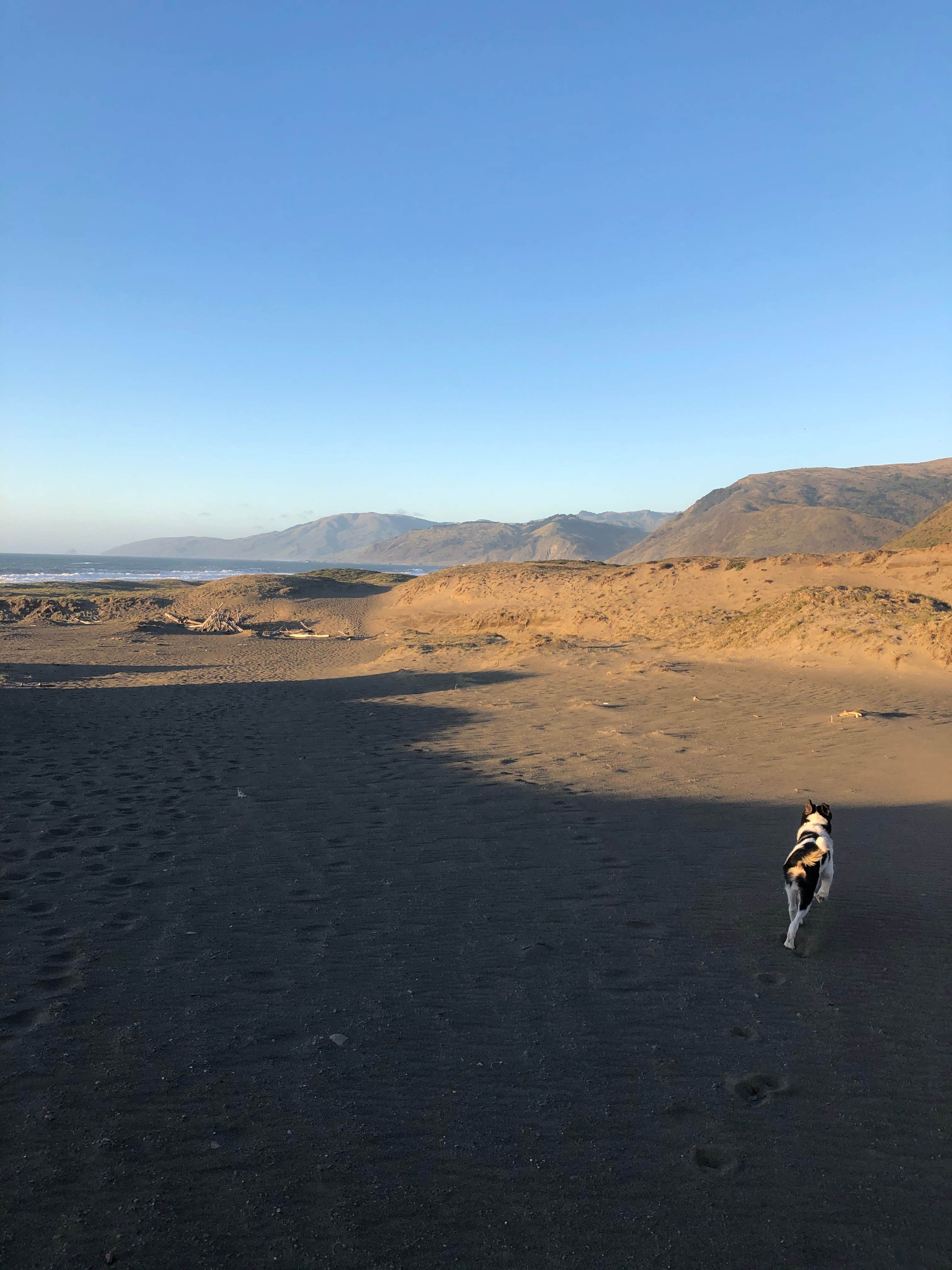 Camper-submitted photo at Mattole Campground near Eureka, CA