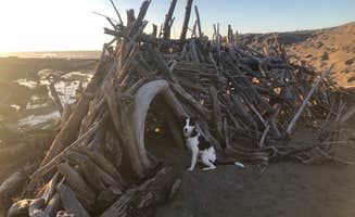 Alixandra S.'s photo of camping with pets at Mattole Campground near Carlotta, CA