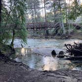 Review photo of Pfeiffer Big Sur State Park Campground by Christina L., March 11, 2021