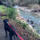 Review photo of Pfeiffer Big Sur State Park Campground by Christina L., March 11, 2021