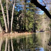 Review photo of Pfeiffer Big Sur State Park Campground by Christina L., March 11, 2021