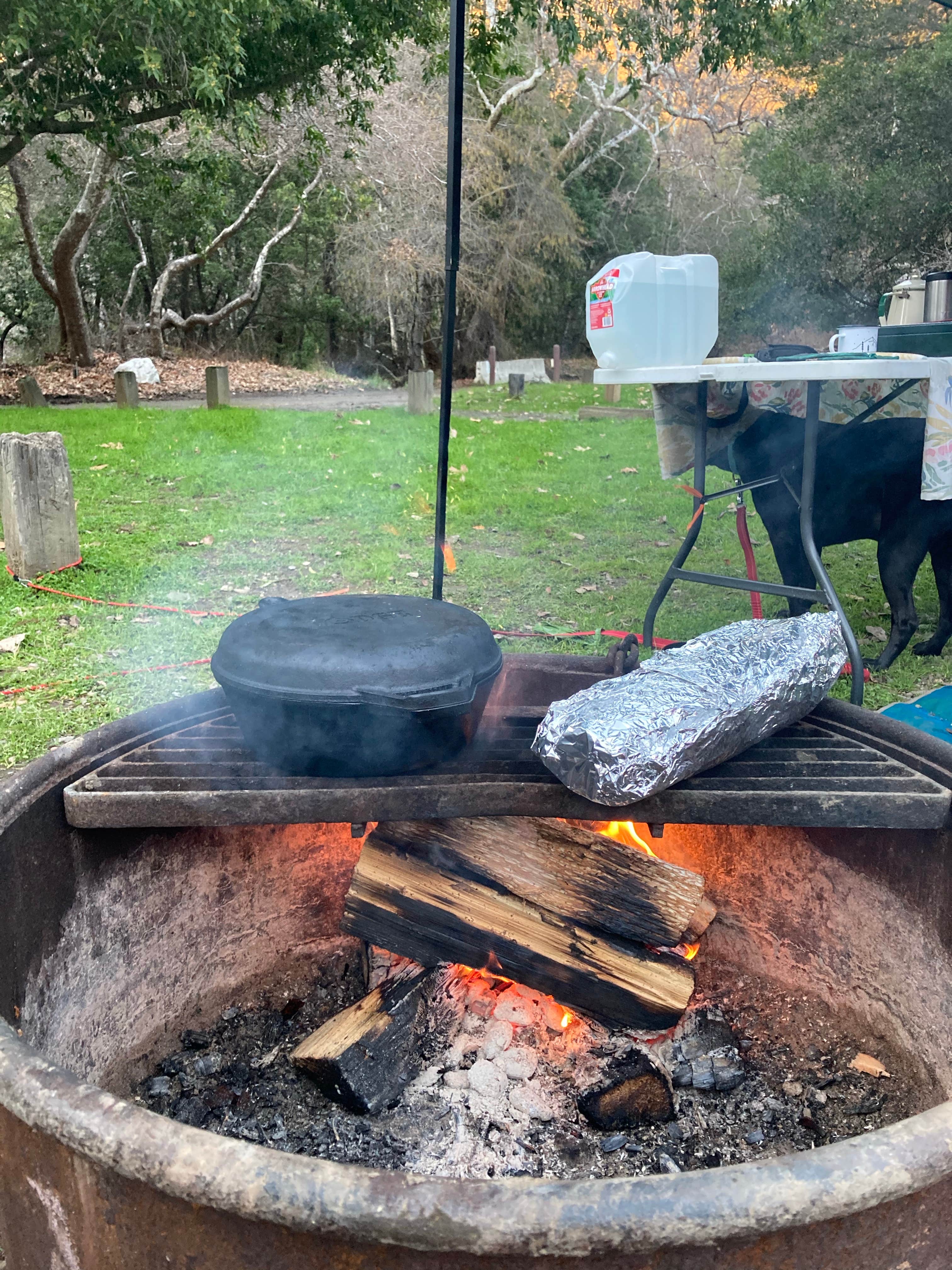 Christina L.'s photo at Pfeiffer Big Sur State Park Campground near Big Sur, CA