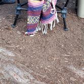 Review photo of Alta Lakes Campground (Dispersed) by Chelsea N., March 11, 2021