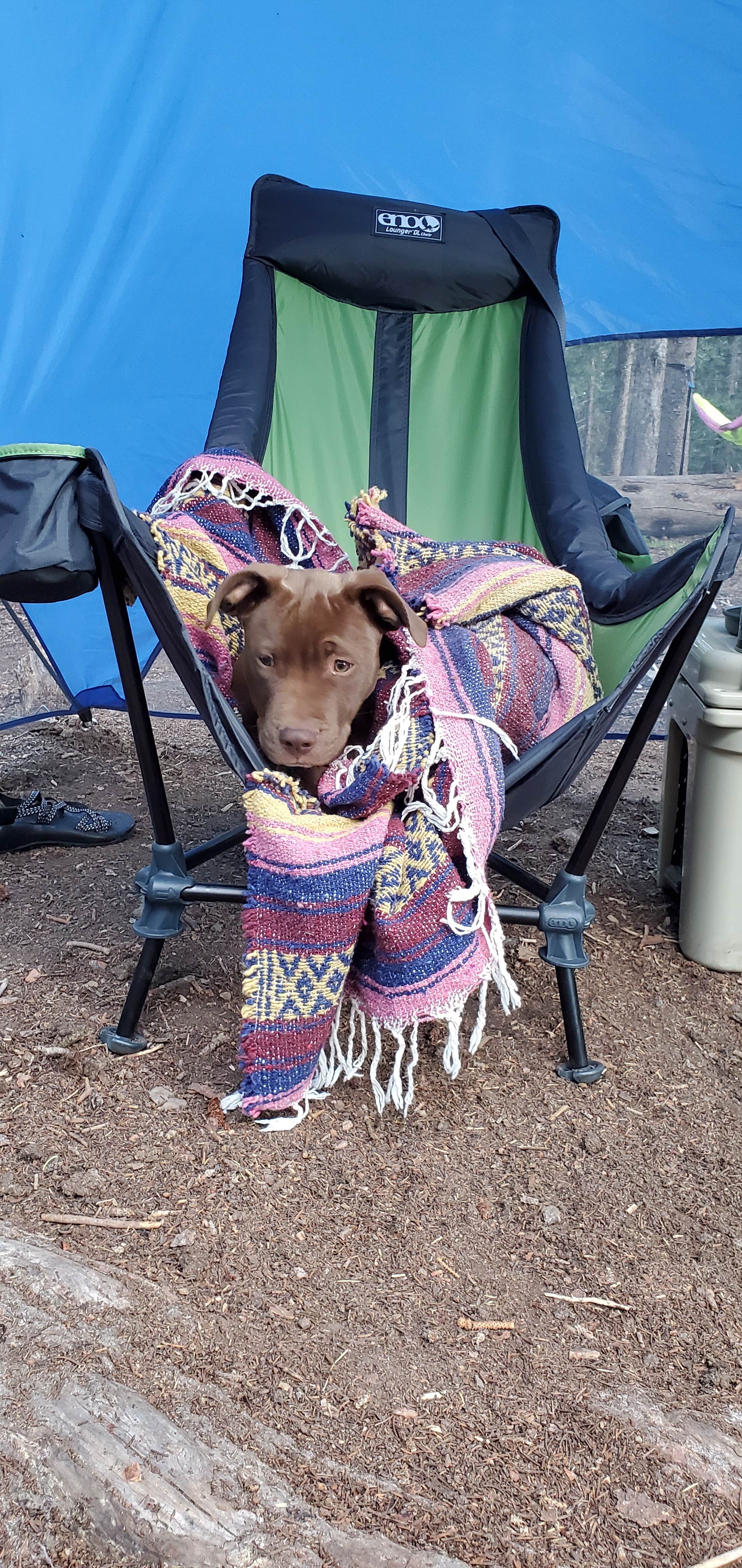 Camper submitted image from Alta Lakes Campground (Dispersed) - 4