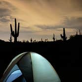 Review photo of Usery Mountain Regional Park by Janet H., March 11, 2021