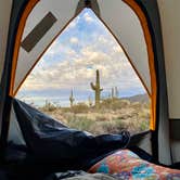 Review photo of Usery Mountain Regional Park by Janet H., March 11, 2021