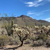 Review photo of Usery Mountain Regional Park by Janet H., March 11, 2021