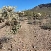 Review photo of Usery Mountain Regional Park by Janet H., March 11, 2021