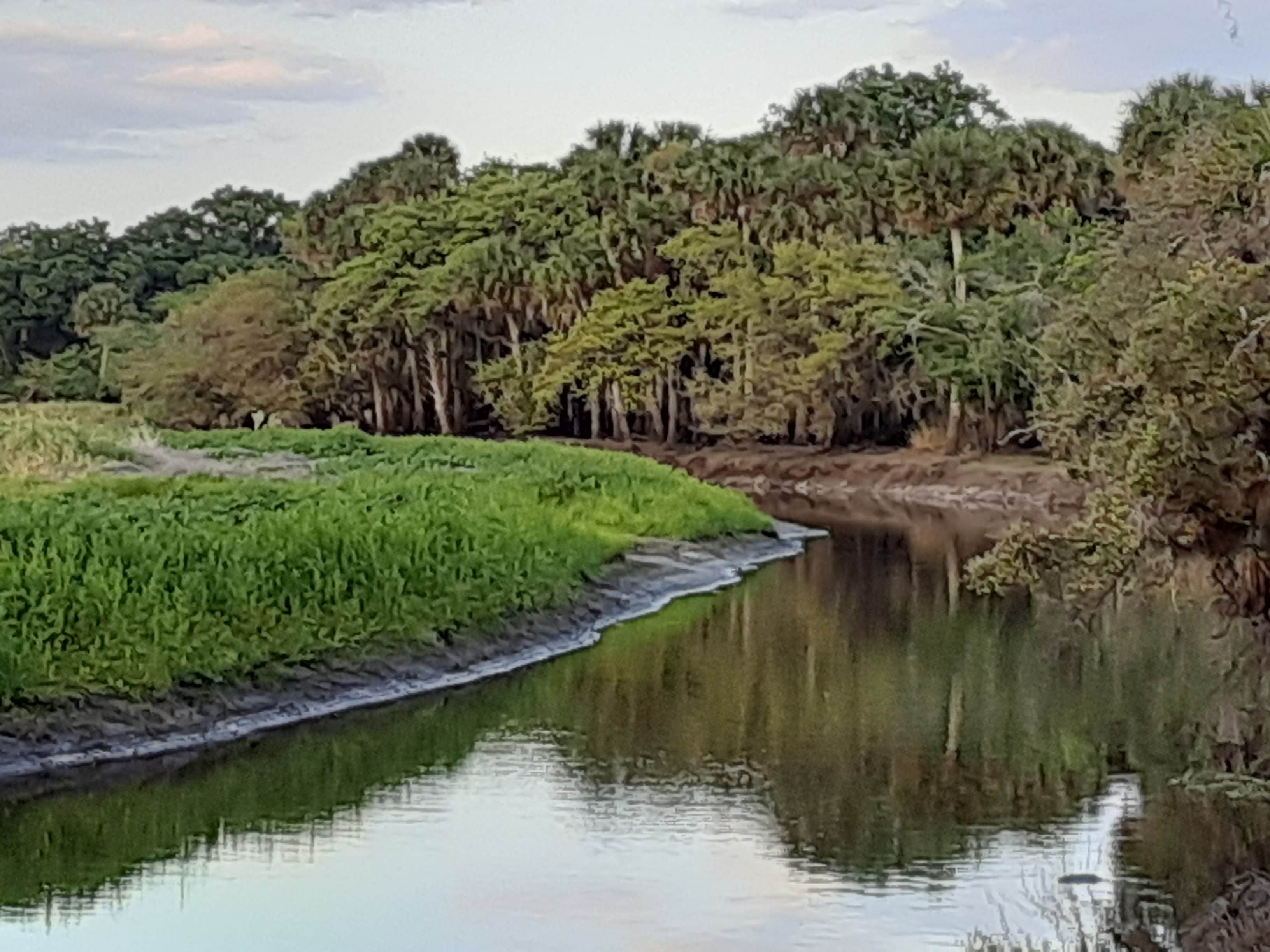 Camping near Cozy Little Glamping Shack: Myakka River RV Resort, North Port, Florida