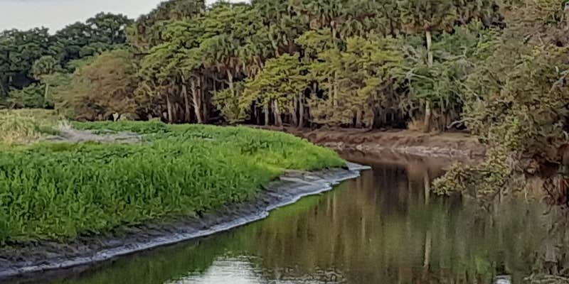 Camper submitted image from Myakka River RV Resort