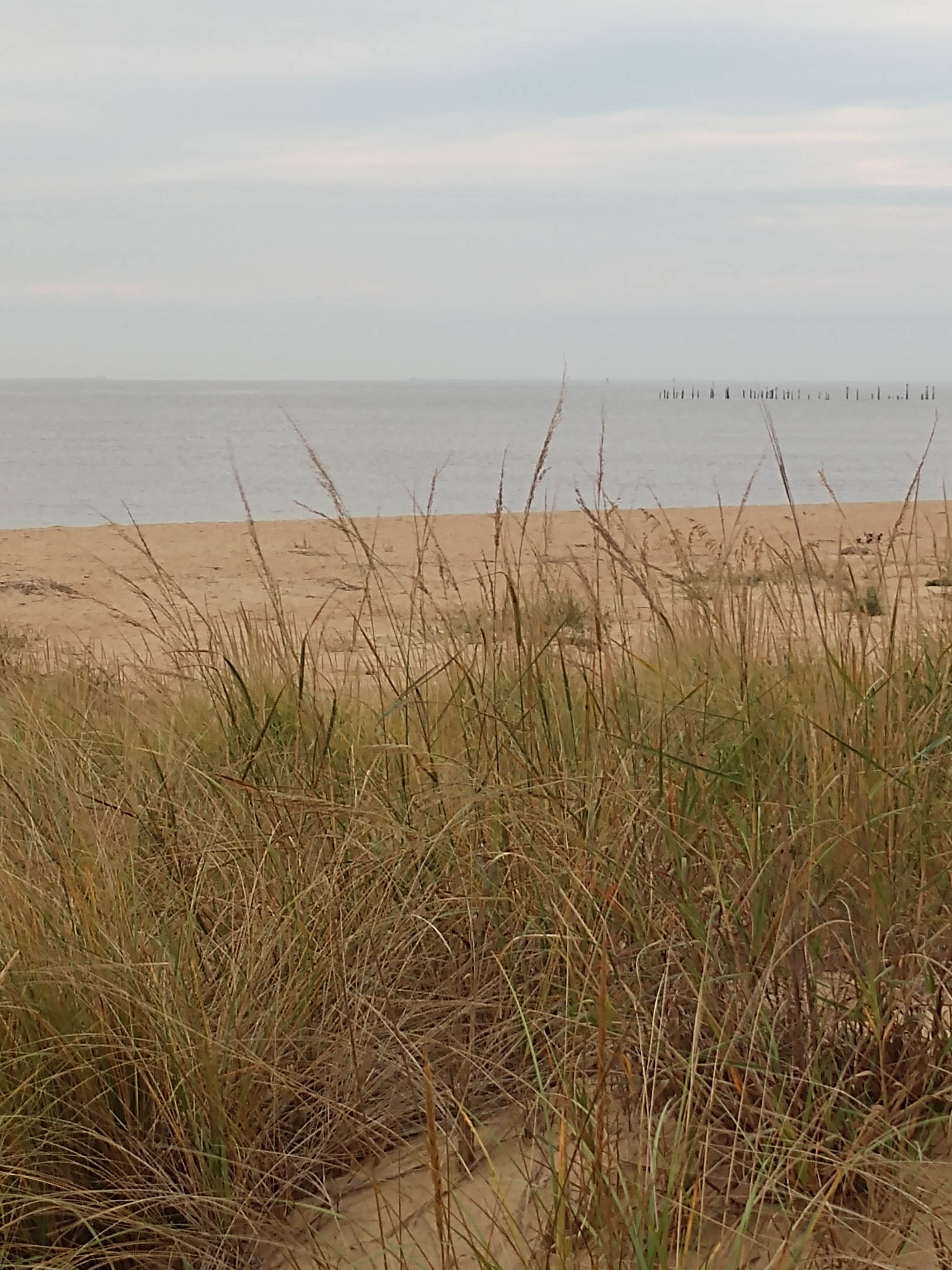 Camper-submitted photo at First Landing State Park Campground in Virginia