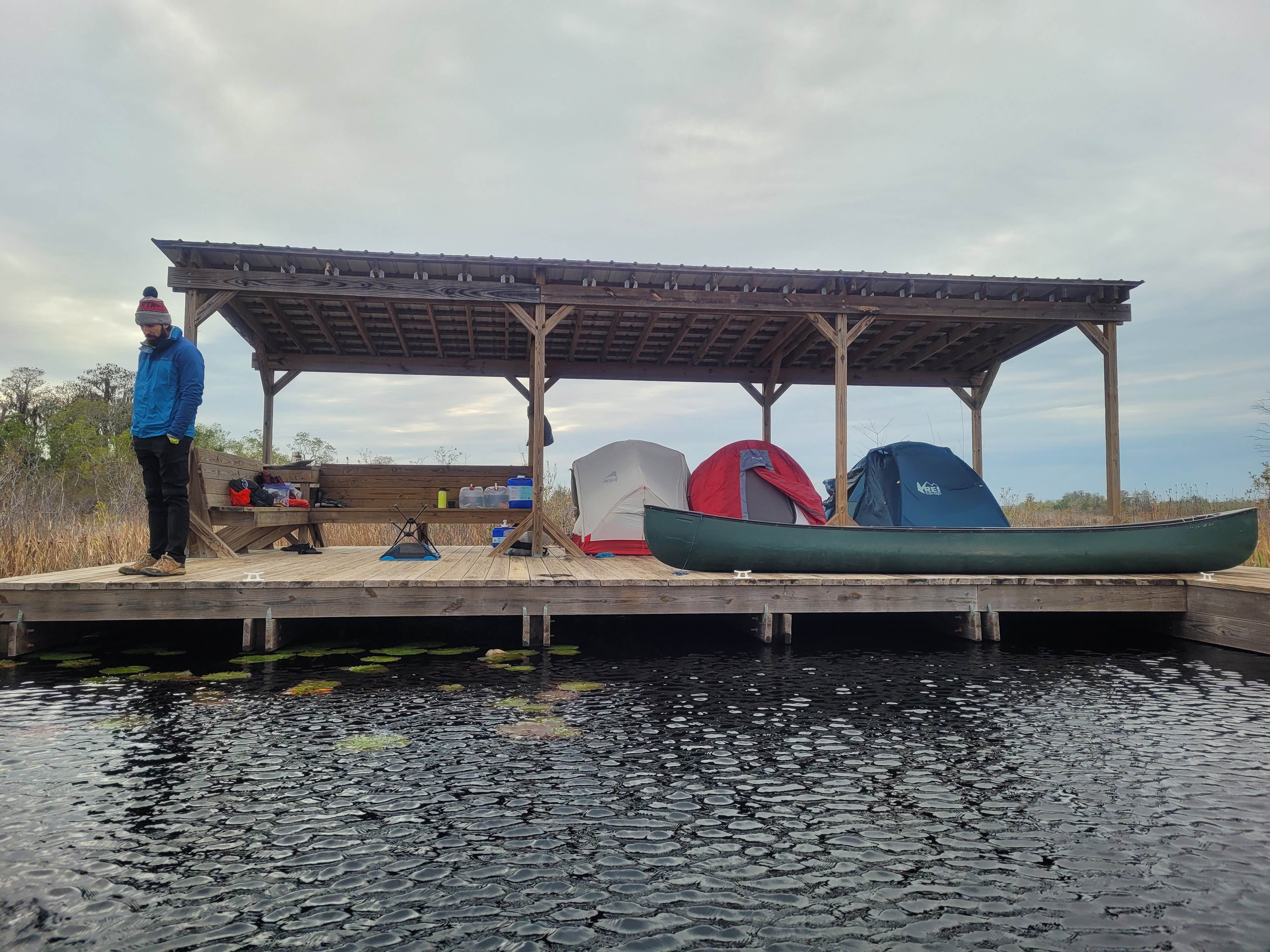 Camper submitted image from Okefenokee National Wildlife Refuge Camping - 5