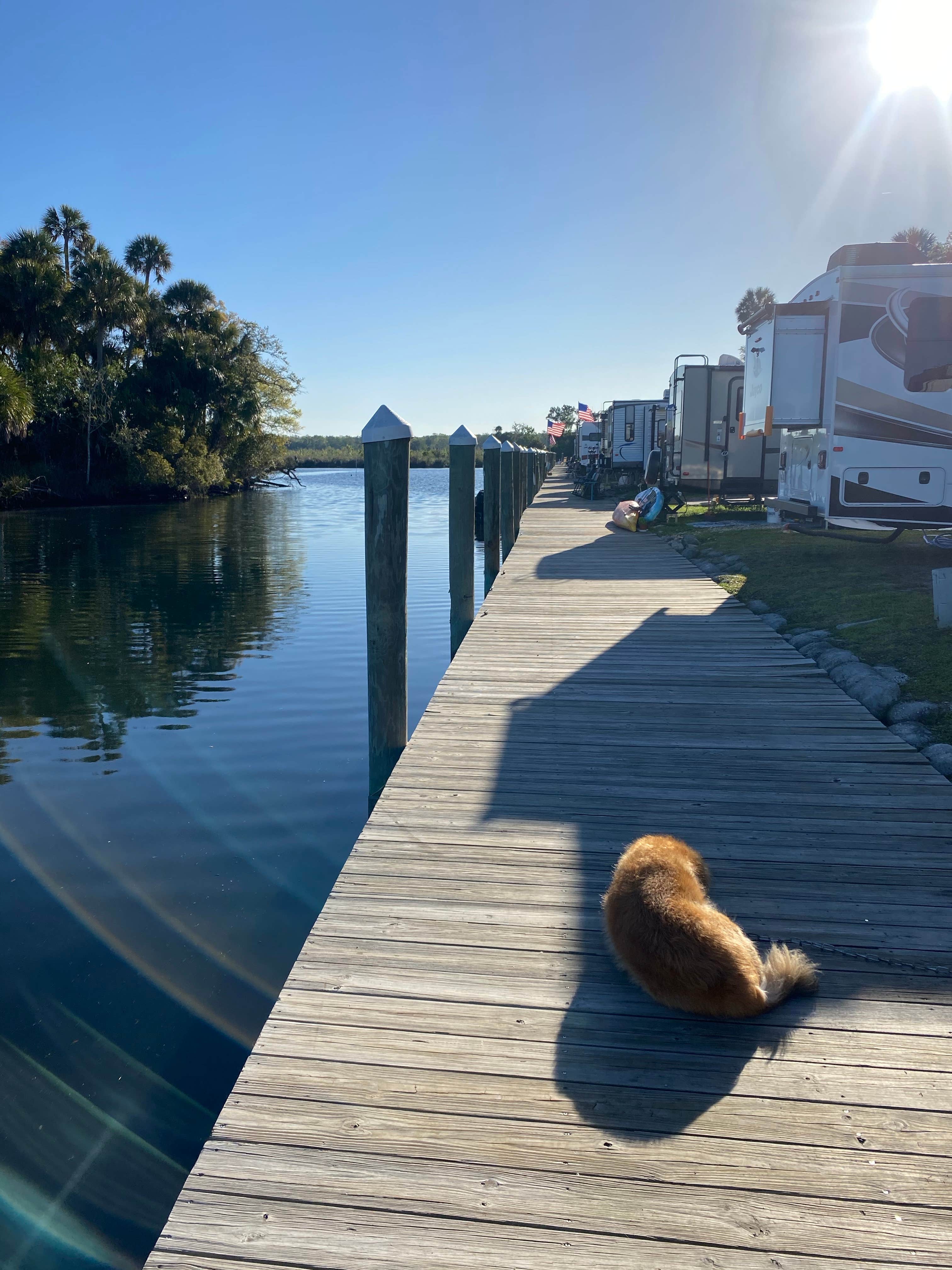 Camping near Homosassa River RV Resort: Nature's Resort, Homosassa, Florida