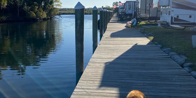 Camper submitted image from Nature's Resort