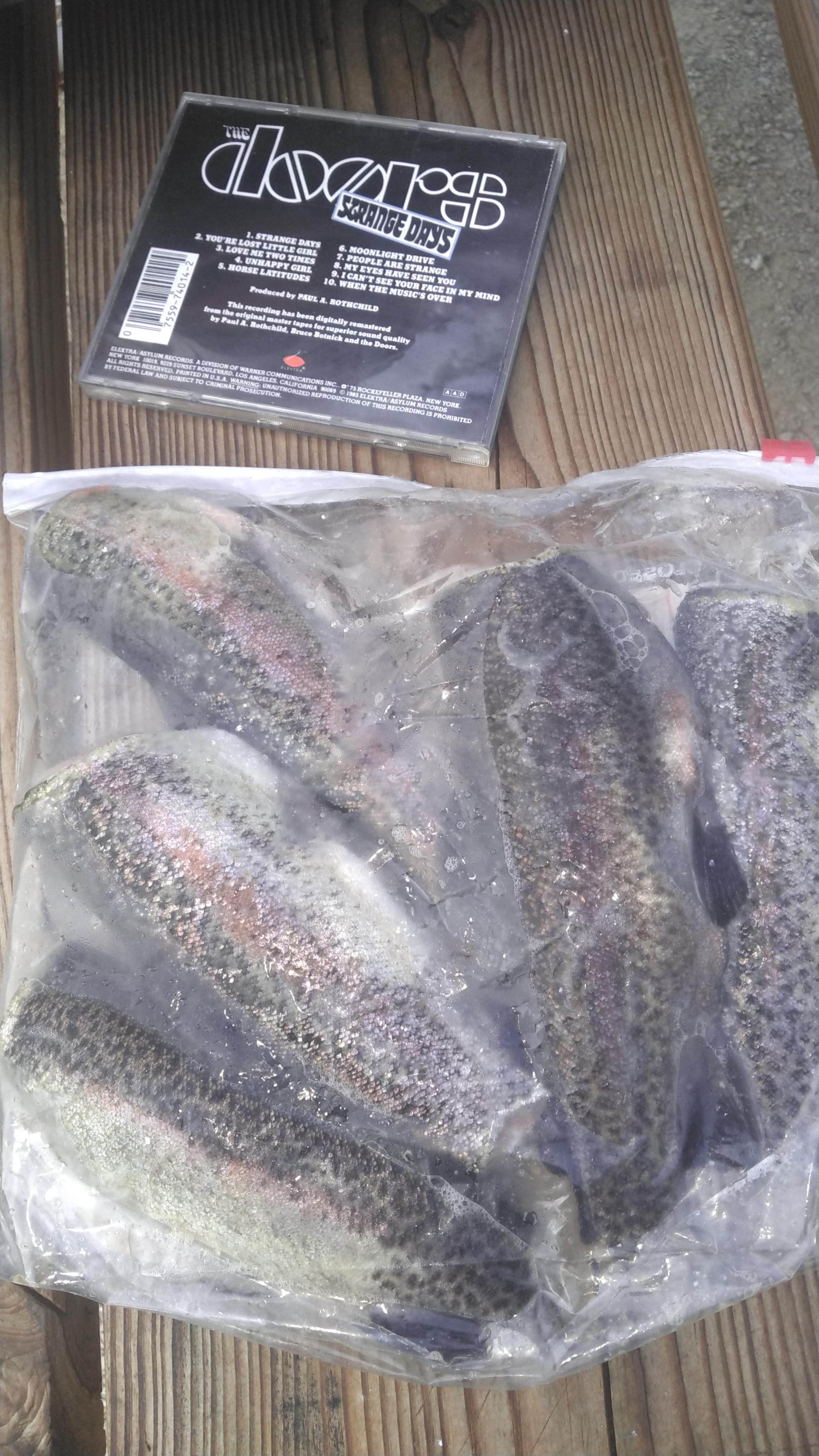 Camper-submitted photo at Fire Tower Cabin — Yellow River State Forest near Waterville, IA