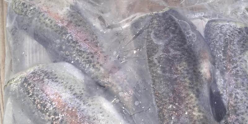 Camper submitted image from Fire Tower Cabin — Yellow River State Forest