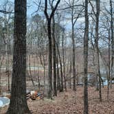 Review photo of Cane Creek State Park Campground by Steve S., September 20, 2020