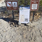 Review photo of Pegleg Smith Camping — Anza-Borrego Desert State Park by Larry B., March 12, 2021