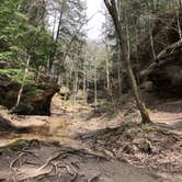 Review photo of Turkey Run State Park Campground — Turkey Run State Park by Monica C., May 30, 2018