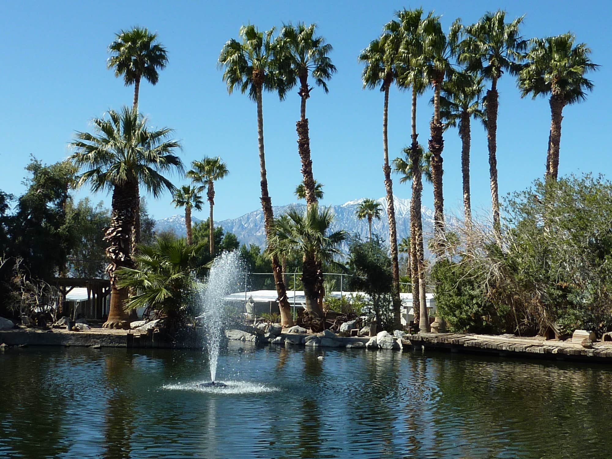 Camper-submitted photo at Sam's Family Spa RV Resort & Motel near Desert Hot Springs, CA