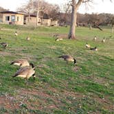 Review photo of Inks Lake State Park Campground by Alan , March 12, 2021